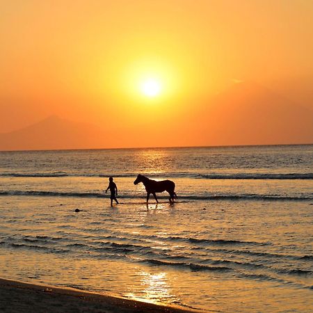 Villa Sunset Beach ギリ・トラワンガン エクステリア 写真